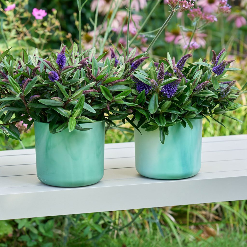 Hebe Donna compact blue sfeer 2